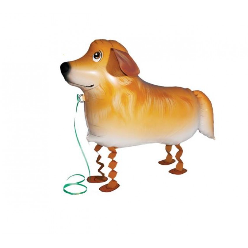 Palloncini Mylar Pet Walker - Golden Retriever (29”)